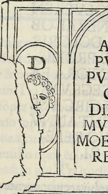 An illustration from La Hypnerotomachia di Poliphilo : cioè pvgna d'amore in sogno, dov'egli mostra, che tvtte le cose hvmane non sono altro che sogno, & doue narra molt'altre cose degne di cognitione, 1545, leaf 256