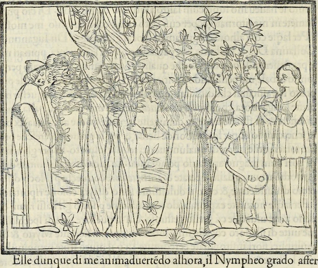 An illustration from La Hypnerotomachia di Poliphilo : cioè pvgna d'amore in sogno, dov'egli mostra, che tvtte le cose hvmane non sono altro che sogno, & doue narra molt'altre cose degne di cognitione, 1545, leaf 79