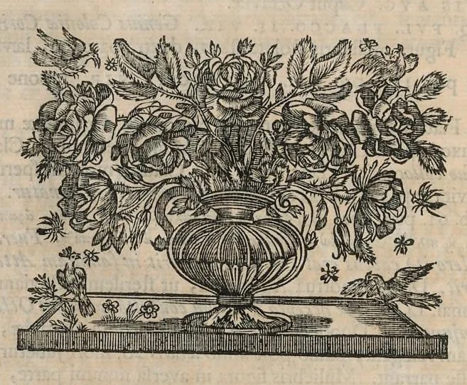 An illustration from Numismata aerea imperatorum, augustarum, et caesarum, in coloniis, municilpiis, et urbibus jure latio donatis : ex omni modulo percussa : pars prima [-altera], 1695, leaf 149