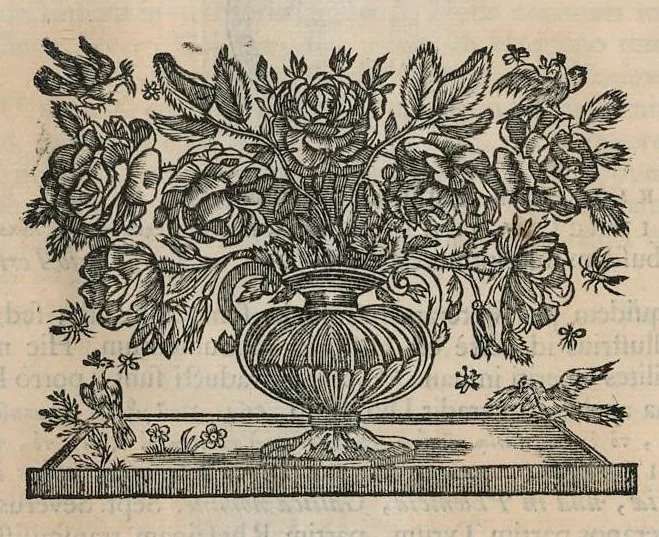 An illustration from Numismata aerea imperatorum, augustarum, et caesarum, in coloniis, municilpiis, et urbibus jure latio donatis : ex omni modulo percussa : pars prima [-altera], 1695, leaf 467