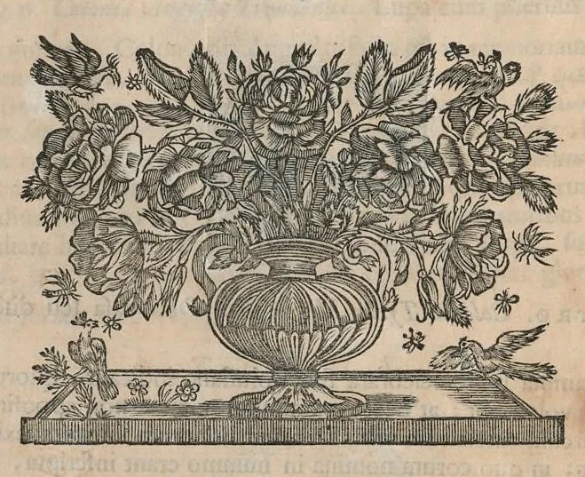 An illustration from Numismata aerea imperatorum, augustarum, et caesarum, in coloniis, municilpiis, et urbibus jure latio donatis : ex omni modulo percussa : pars prima [-altera], 1695, leaf 493