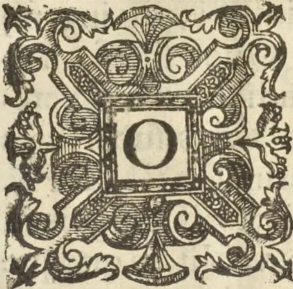An illustration from Athanasii Kircheri e Soc. Iesu Obeliscus Pamphilius, hoc est, Interpretatio noua & hucusque intentata obelisci hieroglyphici quem non ita pridem ex veteri hippodromo Antonini Caracallae Caesaris, in agonale forum transtulit, integritati restituit & in Vbis Aeternae ornamentum erexit Innocentius X. Pont. Max. : in quo post varia Aegyptiacae, Chaldaicae, Hebraicae, Graecanicae antiquitatis doctrinaeque qua sacrae, qua profanae monumenta, veterum tandem theologia, hieroglyphicis inuoluta symbolis, detecta e tenebris in lucem asseritur, 1650, leaf 14