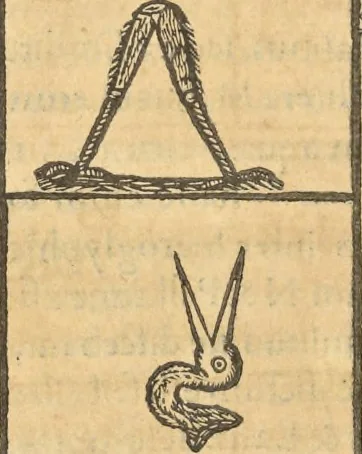 An illustration from Athanasii Kircheri e Soc. Iesu Obeliscus Pamphilius, hoc est, Interpretatio noua & hucusque intentata obelisci hieroglyphici quem non ita pridem ex veteri hippodromo Antonini Caracallae Caesaris, in agonale forum transtulit, integritati restituit & in Vbis Aeternae ornamentum erexit Innocentius X. Pont. Max. : in quo post varia Aegyptiacae, Chaldaicae, Hebraicae, Graecanicae antiquitatis doctrinaeque qua sacrae, qua profanae monumenta, veterum tandem theologia, hieroglyphicis inuoluta symbolis, detecta e tenebris in lucem asseritur, 1650, leaf 205
