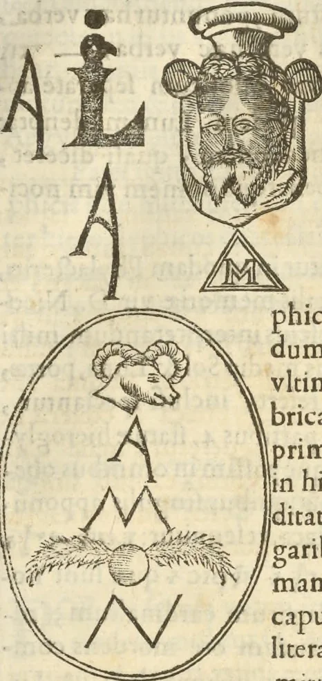 An illustration from Athanasii Kircheri e Soc. Iesu Obeliscus Pamphilius, hoc est, Interpretatio noua & hucusque intentata obelisci hieroglyphici quem non ita pridem ex veteri hippodromo Antonini Caracallae Caesaris, in agonale forum transtulit, integritati restituit & in Vbis Aeternae ornamentum erexit Innocentius X. Pont. Max. : in quo post varia Aegyptiacae, Chaldaicae, Hebraicae, Graecanicae antiquitatis doctrinaeque qua sacrae, qua profanae monumenta, veterum tandem theologia, hieroglyphicis inuoluta symbolis, detecta e tenebris in lucem asseritur, 1650, leaf 222
