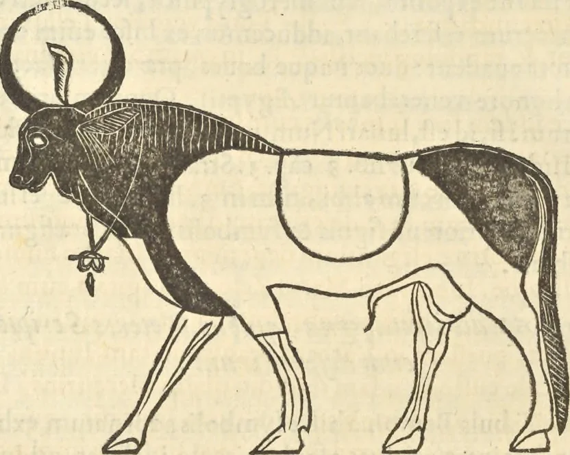 An illustration from Athanasii Kircheri e Soc. Iesu Obeliscus Pamphilius, hoc est, Interpretatio noua & hucusque intentata obelisci hieroglyphici quem non ita pridem ex veteri hippodromo Antonini Caracallae Caesaris, in agonale forum transtulit, integritati restituit & in Vbis Aeternae ornamentum erexit Innocentius X. Pont. Max. : in quo post varia Aegyptiacae, Chaldaicae, Hebraicae, Graecanicae antiquitatis doctrinaeque qua sacrae, qua profanae monumenta, veterum tandem theologia, hieroglyphicis inuoluta symbolis, detecta e tenebris in lucem asseritur, 1650, leaf 337