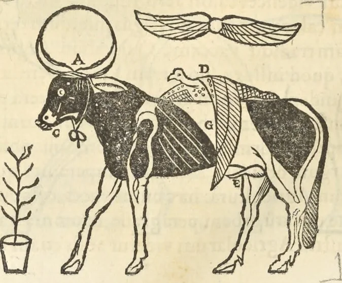 An illustration from Athanasii Kircheri e Soc. Iesu Obeliscus Pamphilius, hoc est, Interpretatio noua & hucusque intentata obelisci hieroglyphici quem non ita pridem ex veteri hippodromo Antonini Caracallae Caesaris, in agonale forum transtulit, integritati restituit & in Vbis Aeternae ornamentum erexit Innocentius X. Pont. Max. : in quo post varia Aegyptiacae, Chaldaicae, Hebraicae, Graecanicae antiquitatis doctrinaeque qua sacrae, qua profanae monumenta, veterum tandem theologia, hieroglyphicis inuoluta symbolis, detecta e tenebris in lucem asseritur, 1650, leaf 337