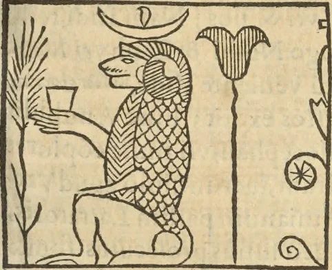 An illustration from Athanasii Kircheri e Soc. Iesu Obeliscus Pamphilius, hoc est, Interpretatio noua & hucusque intentata obelisci hieroglyphici quem non ita pridem ex veteri hippodromo Antonini Caracallae Caesaris, in agonale forum transtulit, integritati restituit & in Vbis Aeternae ornamentum erexit Innocentius X. Pont. Max. : in quo post varia Aegyptiacae, Chaldaicae, Hebraicae, Graecanicae antiquitatis doctrinaeque qua sacrae, qua profanae monumenta, veterum tandem theologia, hieroglyphicis inuoluta symbolis, detecta e tenebris in lucem asseritur, 1650, leaf 376