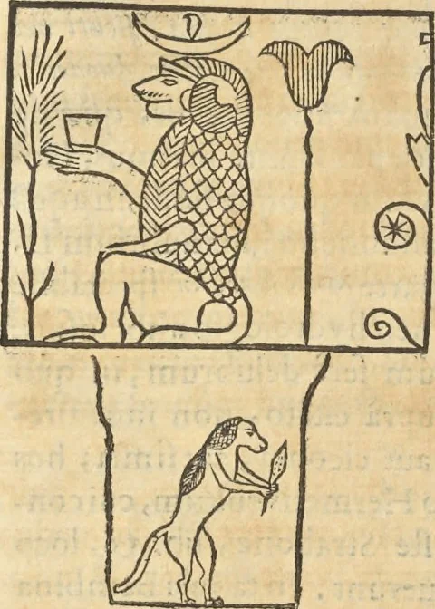 An illustration from Athanasii Kircheri e Soc. Iesu Obeliscus Pamphilius, hoc est, Interpretatio noua & hucusque intentata obelisci hieroglyphici quem non ita pridem ex veteri hippodromo Antonini Caracallae Caesaris, in agonale forum transtulit, integritati restituit & in Vbis Aeternae ornamentum erexit Innocentius X. Pont. Max. : in quo post varia Aegyptiacae, Chaldaicae, Hebraicae, Graecanicae antiquitatis doctrinaeque qua sacrae, qua profanae monumenta, veterum tandem theologia, hieroglyphicis inuoluta symbolis, detecta e tenebris in lucem asseritur, 1650, leaf 377