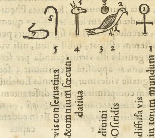 An illustration from Athanasii Kircheri e Soc. Iesu Obeliscus Pamphilius, hoc est, Interpretatio noua & hucusque intentata obelisci hieroglyphici quem non ita pridem ex veteri hippodromo Antonini Caracallae Caesaris, in agonale forum transtulit, integritati restituit & in Vbis Aeternae ornamentum erexit Innocentius X. Pont. Max. : in quo post varia Aegyptiacae, Chaldaicae, Hebraicae, Graecanicae antiquitatis doctrinaeque qua sacrae, qua profanae monumenta, veterum tandem theologia, hieroglyphicis inuoluta symbolis, detecta e tenebris in lucem asseritur, 1650, leaf 389