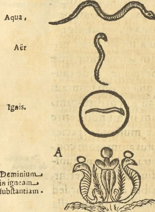 An illustration from Athanasii Kircheri e Soc. Iesu Obeliscus Pamphilius, hoc est, Interpretatio noua & hucusque intentata obelisci hieroglyphici quem non ita pridem ex veteri hippodromo Antonini Caracallae Caesaris, in agonale forum transtulit, integritati restituit & in Vbis Aeternae ornamentum erexit Innocentius X. Pont. Max. : in quo post varia Aegyptiacae, Chaldaicae, Hebraicae, Graecanicae antiquitatis doctrinaeque qua sacrae, qua profanae monumenta, veterum tandem theologia, hieroglyphicis inuoluta symbolis, detecta e tenebris in lucem asseritur, 1650, leaf 423