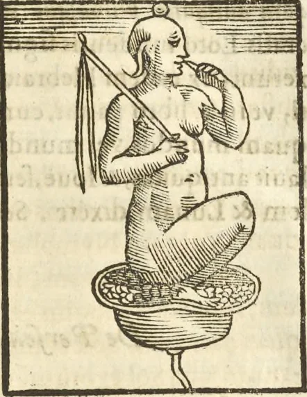 An illustration from Athanasii Kircheri e Soc. Iesu Obeliscus Pamphilius, hoc est, Interpretatio noua & hucusque intentata obelisci hieroglyphici quem non ita pridem ex veteri hippodromo Antonini Caracallae Caesaris, in agonale forum transtulit, integritati restituit & in Vbis Aeternae ornamentum erexit Innocentius X. Pont. Max. : in quo post varia Aegyptiacae, Chaldaicae, Hebraicae, Graecanicae antiquitatis doctrinaeque qua sacrae, qua profanae monumenta, veterum tandem theologia, hieroglyphicis inuoluta symbolis, detecta e tenebris in lucem asseritur, 1650, leaf 432