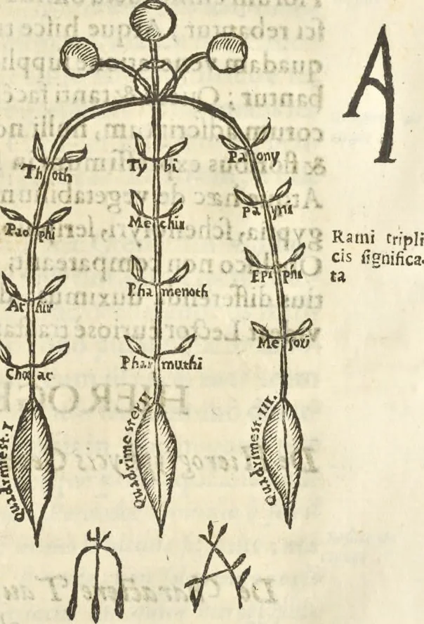 An illustration from Athanasii Kircheri e Soc. Iesu Obeliscus Pamphilius, hoc est, Interpretatio noua & hucusque intentata obelisci hieroglyphici quem non ita pridem ex veteri hippodromo Antonini Caracallae Caesaris, in agonale forum transtulit, integritati restituit & in Vbis Aeternae ornamentum erexit Innocentius X. Pont. Max. : in quo post varia Aegyptiacae, Chaldaicae, Hebraicae, Graecanicae antiquitatis doctrinaeque qua sacrae, qua profanae monumenta, veterum tandem theologia, hieroglyphicis inuoluta symbolis, detecta e tenebris in lucem asseritur, 1650, leaf 436