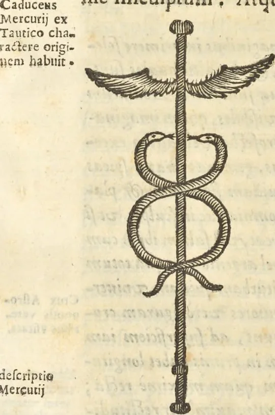 An illustration from Athanasii Kircheri e Soc. Iesu Obeliscus Pamphilius, hoc est, Interpretatio noua & hucusque intentata obelisci hieroglyphici quem non ita pridem ex veteri hippodromo Antonini Caracallae Caesaris, in agonale forum transtulit, integritati restituit & in Vbis Aeternae ornamentum erexit Innocentius X. Pont. Max. : in quo post varia Aegyptiacae, Chaldaicae, Hebraicae, Graecanicae antiquitatis doctrinaeque qua sacrae, qua profanae monumenta, veterum tandem theologia, hieroglyphicis inuoluta symbolis, detecta e tenebris in lucem asseritur, 1650, leaf 451