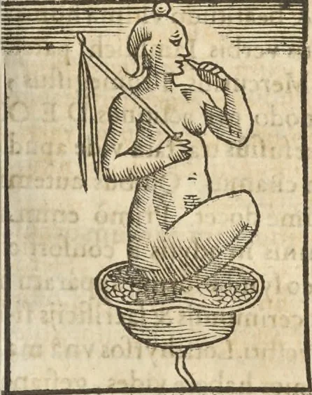 An illustration from Athanasii Kircheri e Soc. Iesu Obeliscus Pamphilius, hoc est, Interpretatio noua & hucusque intentata obelisci hieroglyphici quem non ita pridem ex veteri hippodromo Antonini Caracallae Caesaris, in agonale forum transtulit, integritati restituit & in Vbis Aeternae ornamentum erexit Innocentius X. Pont. Max. : in quo post varia Aegyptiacae, Chaldaicae, Hebraicae, Graecanicae antiquitatis doctrinaeque qua sacrae, qua profanae monumenta, veterum tandem theologia, hieroglyphicis inuoluta symbolis, detecta e tenebris in lucem asseritur, 1650, leaf 488