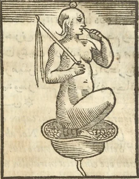 An illustration from Athanasii Kircheri e Soc. Iesu Obeliscus Pamphilius, hoc est, Interpretatio noua & hucusque intentata obelisci hieroglyphici quem non ita pridem ex veteri hippodromo Antonini Caracallae Caesaris, in agonale forum transtulit, integritati restituit & in Vbis Aeternae ornamentum erexit Innocentius X. Pont. Max. : in quo post varia Aegyptiacae, Chaldaicae, Hebraicae, Graecanicae antiquitatis doctrinaeque qua sacrae, qua profanae monumenta, veterum tandem theologia, hieroglyphicis inuoluta symbolis, detecta e tenebris in lucem asseritur, 1650, leaf 512