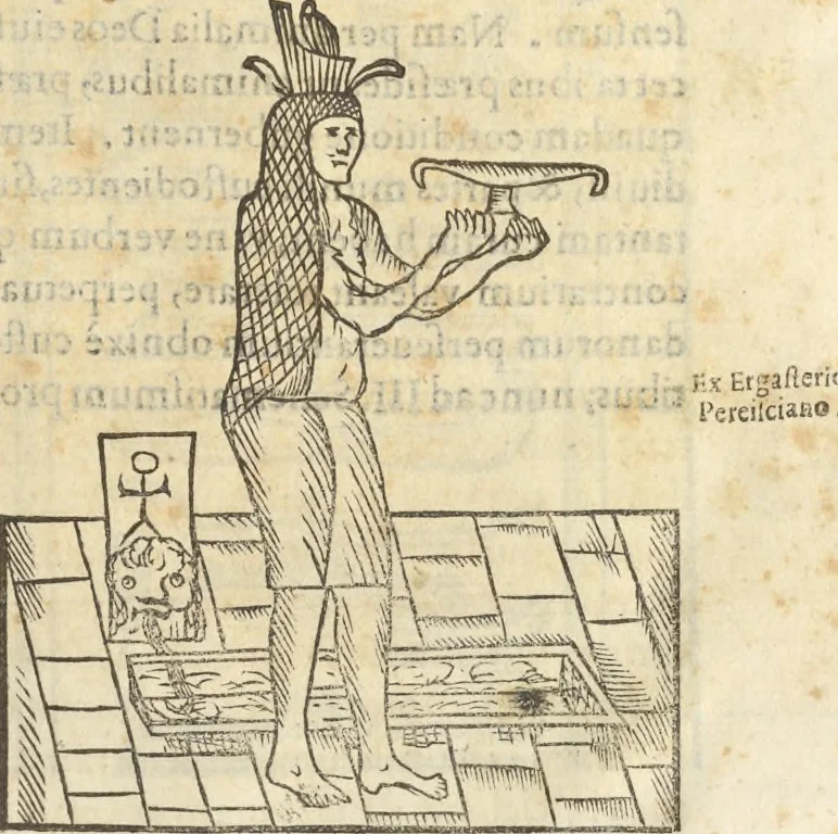 An illustration from Athanasii Kircheri e Soc. Iesu Obeliscus Pamphilius, hoc est, Interpretatio noua & hucusque intentata obelisci hieroglyphici quem non ita pridem ex veteri hippodromo Antonini Caracallae Caesaris, in agonale forum transtulit, integritati restituit & in Vbis Aeternae ornamentum erexit Innocentius X. Pont. Max. : in quo post varia Aegyptiacae, Chaldaicae, Hebraicae, Graecanicae antiquitatis doctrinaeque qua sacrae, qua profanae monumenta, veterum tandem theologia, hieroglyphicis inuoluta symbolis, detecta e tenebris in lucem asseritur, 1650, leaf 546
