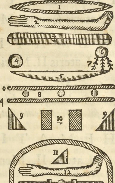 An illustration from Athanasii Kircheri e Soc. Iesu Obeliscus Pamphilius, hoc est, Interpretatio noua & hucusque intentata obelisci hieroglyphici quem non ita pridem ex veteri hippodromo Antonini Caracallae Caesaris, in agonale forum transtulit, integritati restituit & in Vbis Aeternae ornamentum erexit Innocentius X. Pont. Max. : in quo post varia Aegyptiacae, Chaldaicae, Hebraicae, Graecanicae antiquitatis doctrinaeque qua sacrae, qua profanae monumenta, veterum tandem theologia, hieroglyphicis inuoluta symbolis, detecta e tenebris in lucem asseritur, 1650, leaf 572