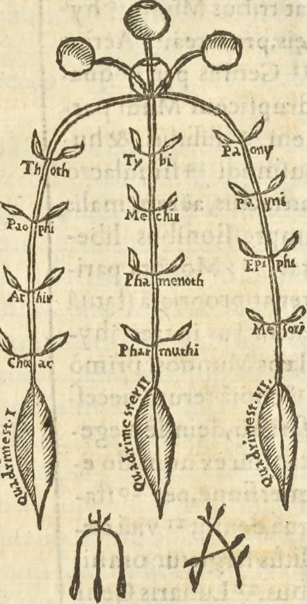 An illustration from Athanasii Kircheri e Soc. Iesu Obeliscus Pamphilius, hoc est, Interpretatio noua & hucusque intentata obelisci hieroglyphici quem non ita pridem ex veteri hippodromo Antonini Caracallae Caesaris, in agonale forum transtulit, integritati restituit & in Vbis Aeternae ornamentum erexit Innocentius X. Pont. Max. : in quo post varia Aegyptiacae, Chaldaicae, Hebraicae, Graecanicae antiquitatis doctrinaeque qua sacrae, qua profanae monumenta, veterum tandem theologia, hieroglyphicis inuoluta symbolis, detecta e tenebris in lucem asseritur, 1650, leaf 608