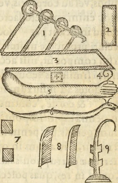 An illustration from Athanasii Kircheri e Soc. Iesu Obeliscus Pamphilius, hoc est, Interpretatio noua & hucusque intentata obelisci hieroglyphici quem non ita pridem ex veteri hippodromo Antonini Caracallae Caesaris, in agonale forum transtulit, integritati restituit & in Vbis Aeternae ornamentum erexit Innocentius X. Pont. Max. : in quo post varia Aegyptiacae, Chaldaicae, Hebraicae, Graecanicae antiquitatis doctrinaeque qua sacrae, qua profanae monumenta, veterum tandem theologia, hieroglyphicis inuoluta symbolis, detecta e tenebris in lucem asseritur, 1650, leaf 619