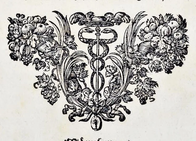 An illustration from Iconologia deorum, oder, Abbildung der Götter : welche von den Alten verehret worden : aus den welt-berühmtesten Antichen der Griechischen und Römischen Statuen : auch in Marmel, Porfido-Stein, Metall, Agat, Onyx, Sardonich und andren Edelsteinen befindlichen Bildereyen, sorgfältig abgesehen ..., 1680, leaf 8