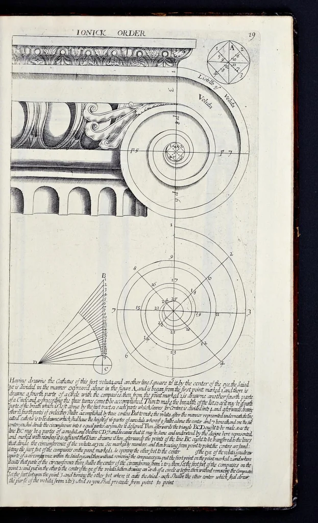 An illustration from The regular architect, or, The general rule of the five orders of architecture of M. Giacomo Barozzio da Vignola : with a new addition of Michael Angelo Buonaroti, 1700, leaf 40