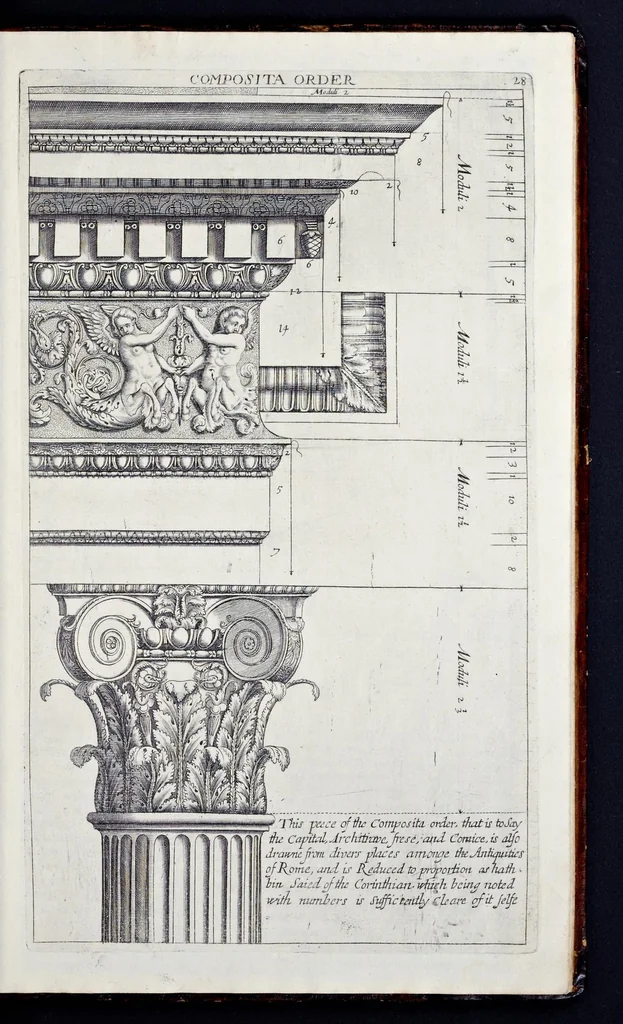 An illustration from The regular architect, or, The general rule of the five orders of architecture of M. Giacomo Barozzio da Vignola : with a new addition of Michael Angelo Buonaroti, 1700, leaf 56