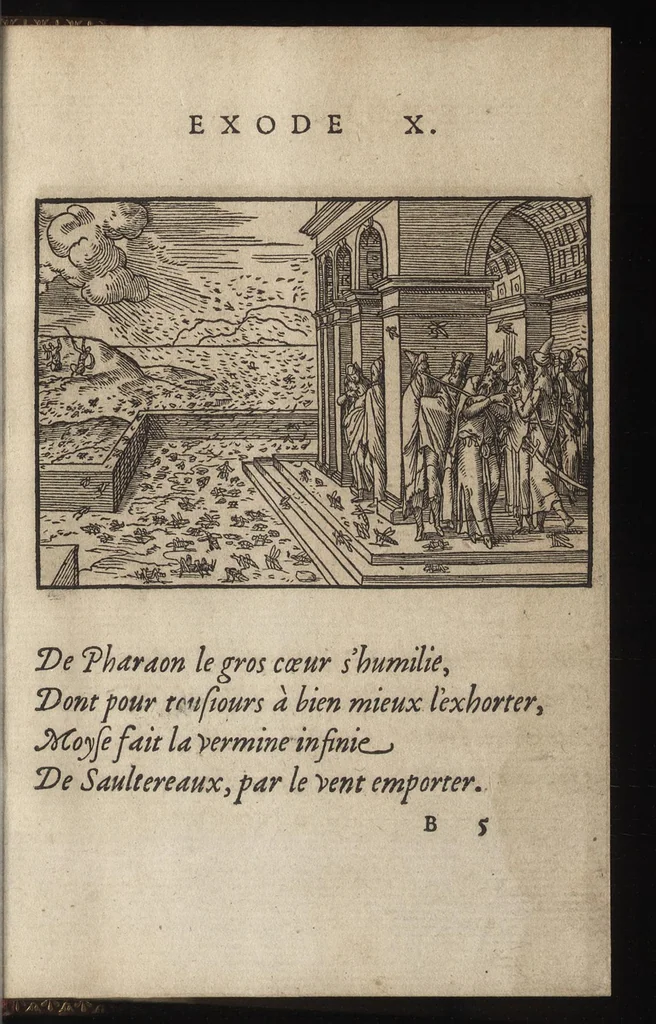 An illustration from Qvadrins historiqves d'Exode, 1553, leaf 30