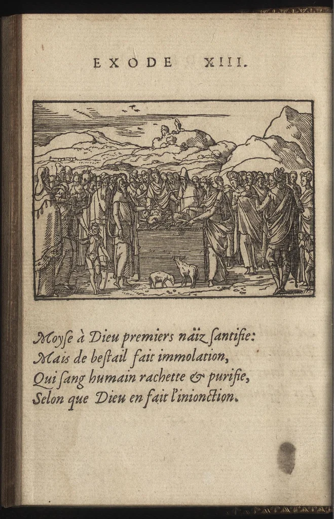 An illustration from Qvadrins historiqves d'Exode, 1553, leaf 35