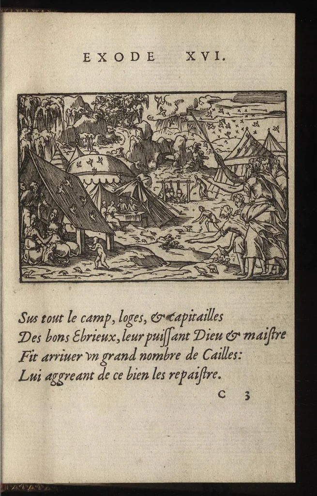 An illustration from Qvadrins historiqves d'Exode, 1553, leaf 42