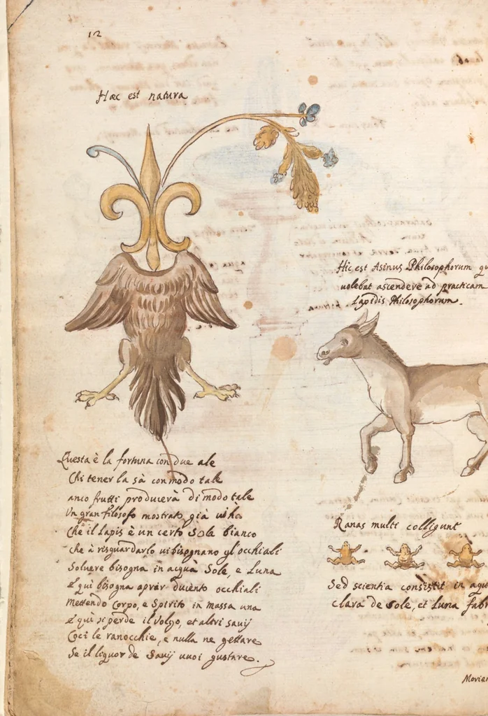 An illustration from Manly Palmer Hall collection of alchemical manuscripts, circa 1500-1825, 1500, leaf 18