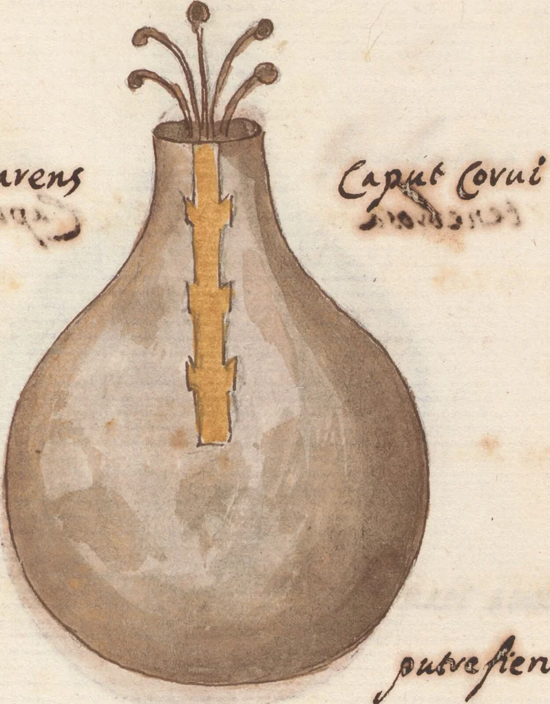 An illustration from Manly Palmer Hall collection of alchemical manuscripts, circa 1500-1825, 1500, leaf 35