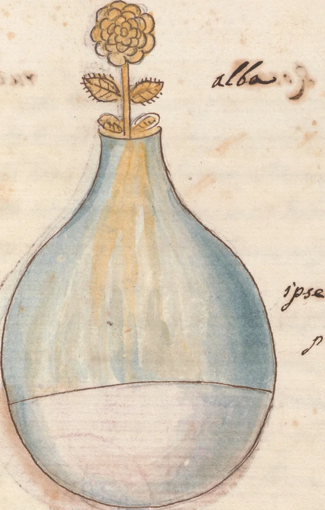 An illustration from Manly Palmer Hall collection of alchemical manuscripts, circa 1500-1825, 1500, leaf 41