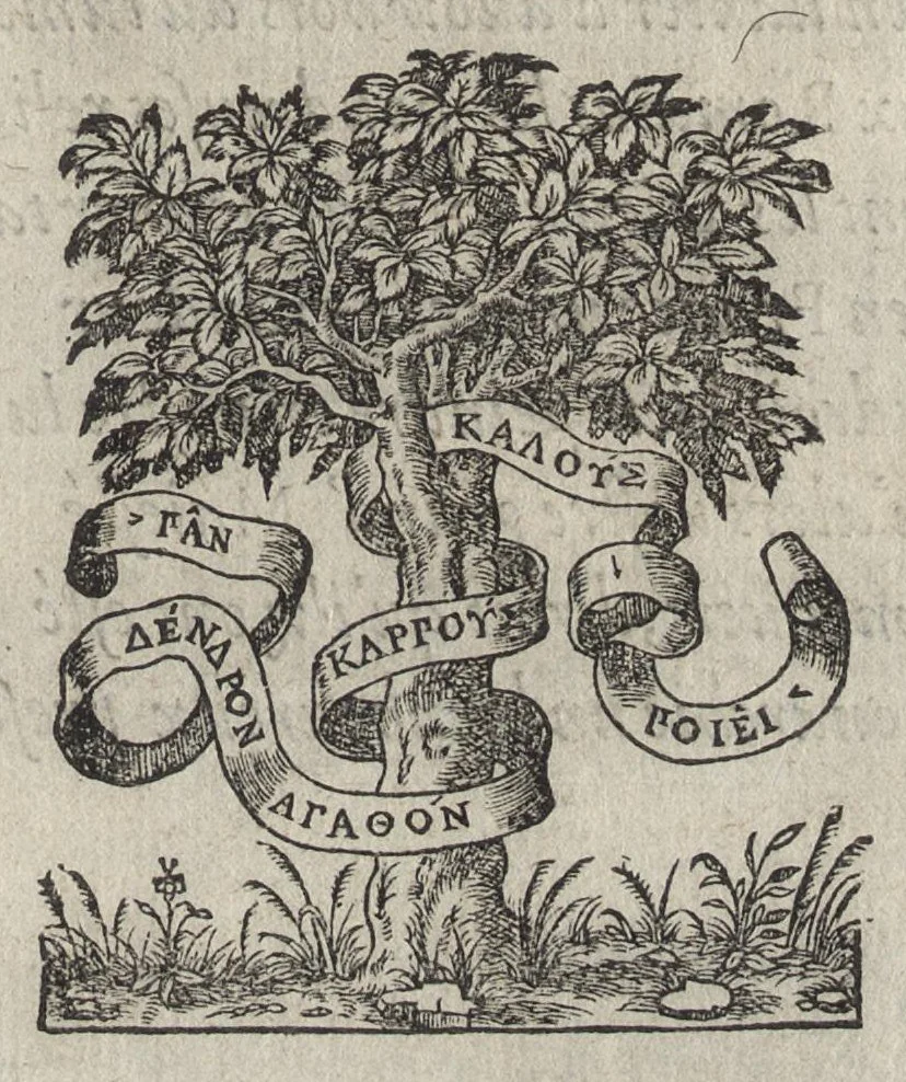 An illustration from Le premier livre des antiqvitez de Rome : contenant vne generale description de sa grandevr, et comme vne deploration de sa rvine, 1558, leaf 8