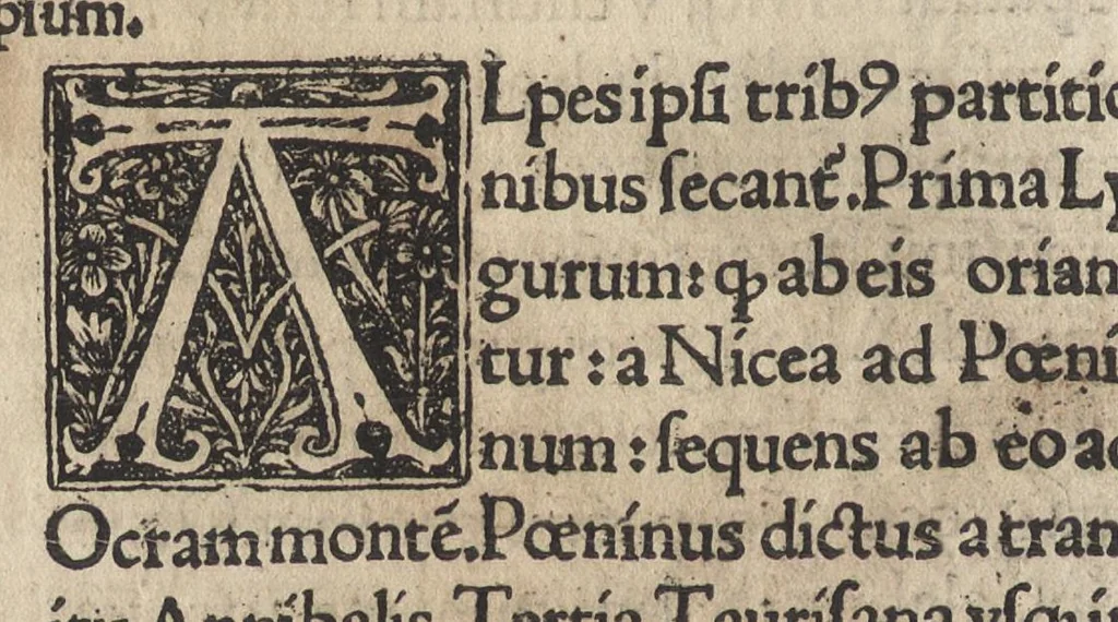 An illustration from Antiquitatũ variarũ volumina XVII, 1515, leaf 167