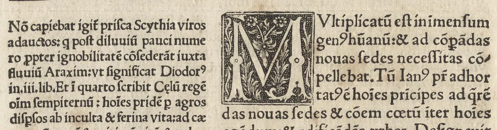 An illustration from Antiquitatũ variarũ volumina XVII, 1515, leaf 247