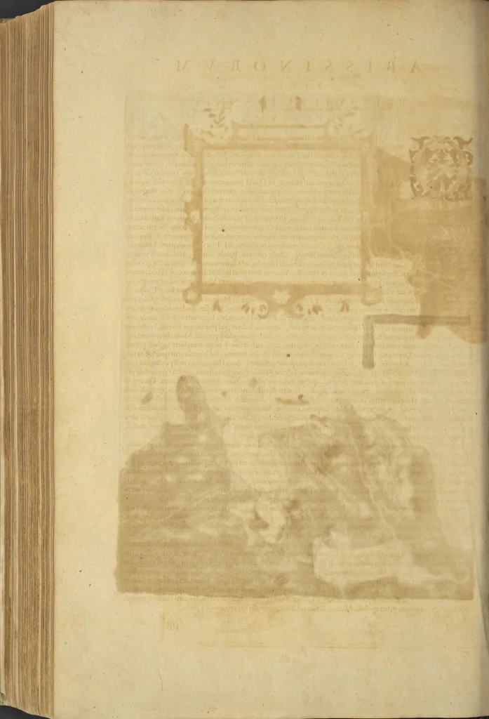 An illustration from Theatrvm orbis terrarvm, 1603, leaf 507