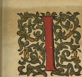 An illustration from Theatrvm orbis terrarvm, 1603, leaf 624