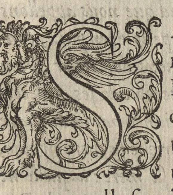 An illustration from Bref et sommaire recueil de ce qui a esté faict, & de l'ordre tenüe à la ioyeuse & triumphante entree de tres-puissant, tres-magnanime & tres-chrestien Prince Charles IX. de ce nom, roy de France, en sa bonne ville & cité de Paris, capitale de son royaume, le mardy sixiesme iour de mars : avec Le covronnement de tres-haute, tres-illustre & tres-excellente Princesse Madame Elizabet d'Austriche son espouse, le dimanche vingtcinquiesme ; et Entree de ladicte Dame en icelle ville ieudi XXIX. dudict mois de mars, M.D.LXXI, 1572, leaf 140