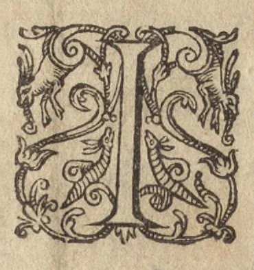 An illustration from L'entrée de la reine a Lyon le III. decembre M.D.C, 1601, leaf 21