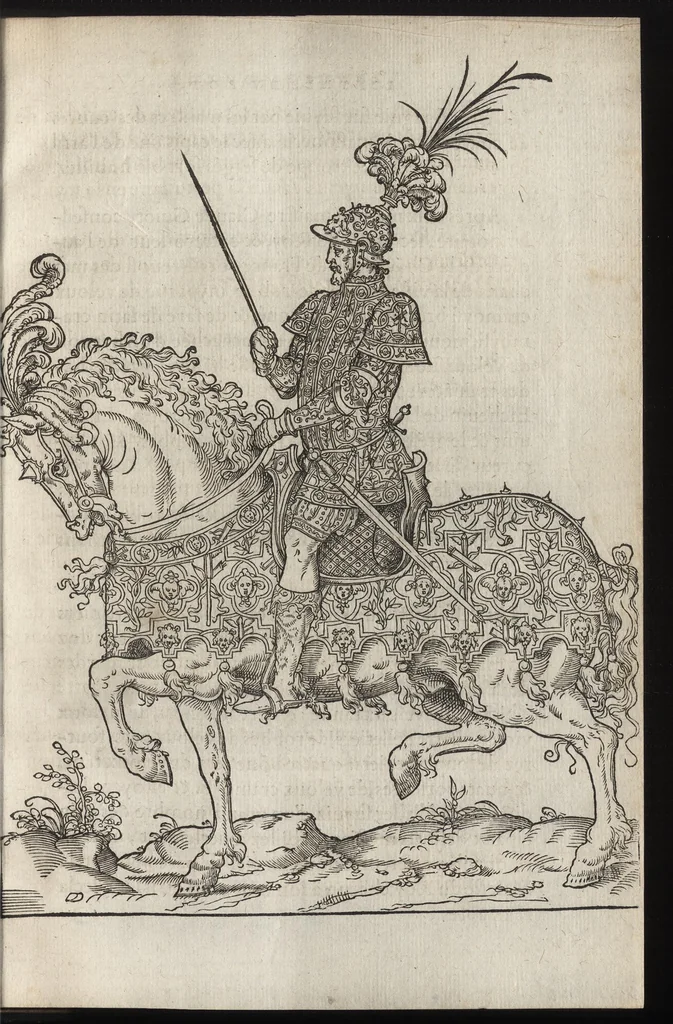 An illustration from C'est l'ordre qui a este tenu a la nouuelle et ioyeuse entrée, que treshault, tresexcelle[n]t, & trespuissa[n]t prince, le roy treschrestien Henry deuzieme de ce nom, à faicte en sa bonne ville & cité de Paris, capitale de son royaume, le sezieme iour de iuin M.D.XLIX, 1549, leaf 46