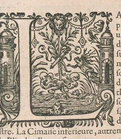 An illustration from Traitté de l'architecture svivant Vitruue, ou, Il est traitté cinq ordres de colomnes ..., 1648, leaf 16