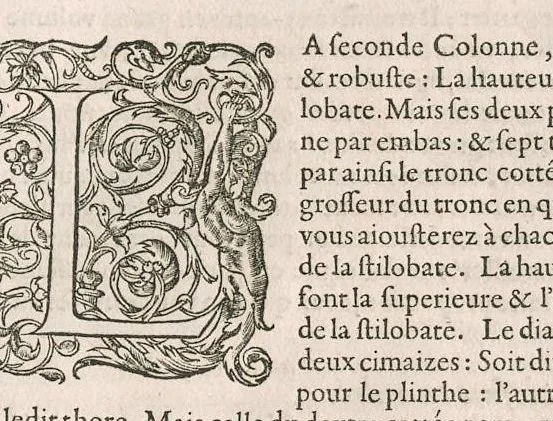 An illustration from Traitté de l'architecture svivant Vitruue, ou, Il est traitté cinq ordres de colomnes ..., 1648, leaf 18