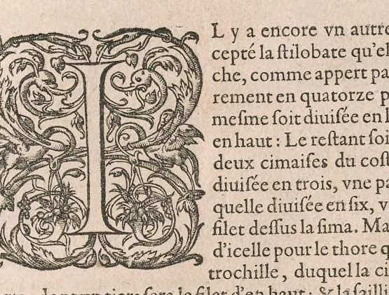 An illustration from Traitté de l'architecture svivant Vitruue, ou, Il est traitté cinq ordres de colomnes ..., 1648, leaf 22