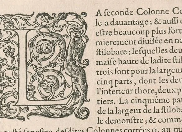 An illustration from Traitté de l'architecture svivant Vitruue, ou, Il est traitté cinq ordres de colomnes ..., 1648, leaf 26