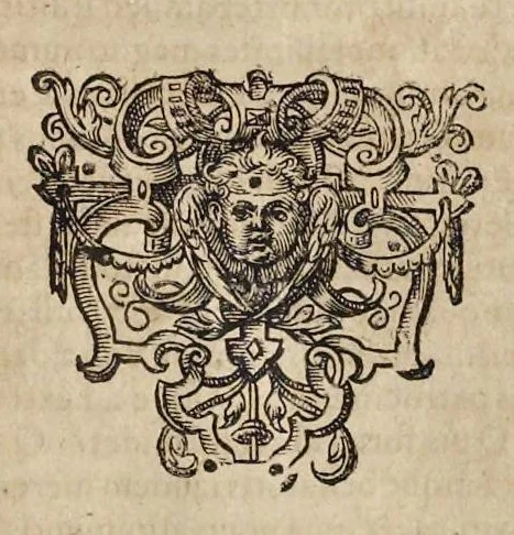 An illustration from Appendix necessaria Syntagmatis arcanorum chymicorum Andreae Libavii ... : in qva praeter arcanorvm nonnvllorum expositionem & illustrationem, quorundam item medicorum hermeticorum & mysticorum descriptionem, continentur defensiones geminae, primum eorum quae ab Henningo Schevnemano & iuniore Gramano sunt impugnata, postea quae in transmutatoria metallorum à Nicolao Gviberto ... sunt attentata ..., 1615, leaf 146