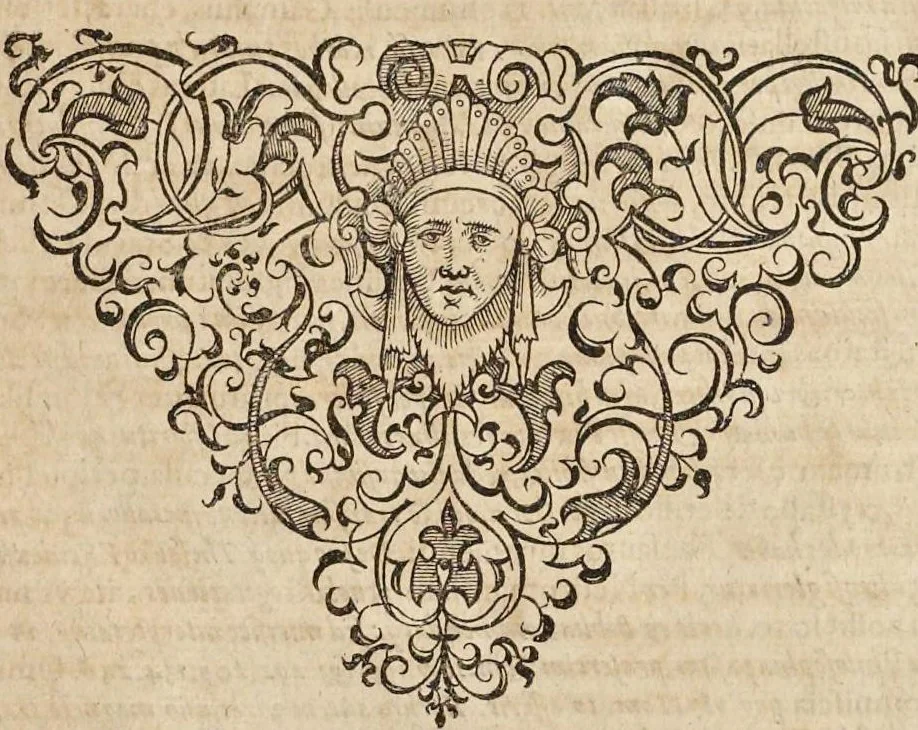An illustration from Examen philosophiae novae, qvae veteri abrogandae opponitvr : in quo agitur de modo discendi nouo de veterum autoritate, de magia Paracelsi ex Crollio, de philosophia viuente ex Seuerino per Johannem Hartmannum, de philosophia harmonica magica Fraternitatis de Rosea Cruce, 1615, leaf 318
