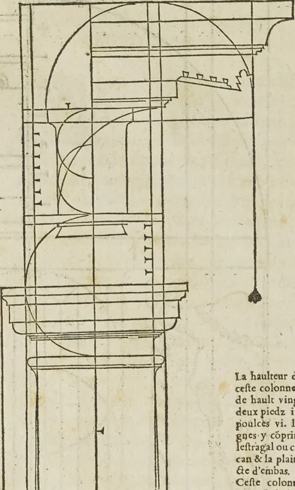 An illustration from Reigle generalle d'architectvre des cinq manieres de colonnes : à sçauoir, tuscane, dorique, ionique, corinthe, & cõposite : & enrichi de plusieurs autres, à exemple de l'antique, 1568, leaf 17