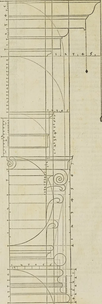 An illustration from Reigle generalle d'architectvre des cinq manieres de colonnes : à sçauoir, tuscane, dorique, ionique, corinthe, & cõposite : & enrichi de plusieurs autres, à exemple de l'antique, 1568, leaf 43