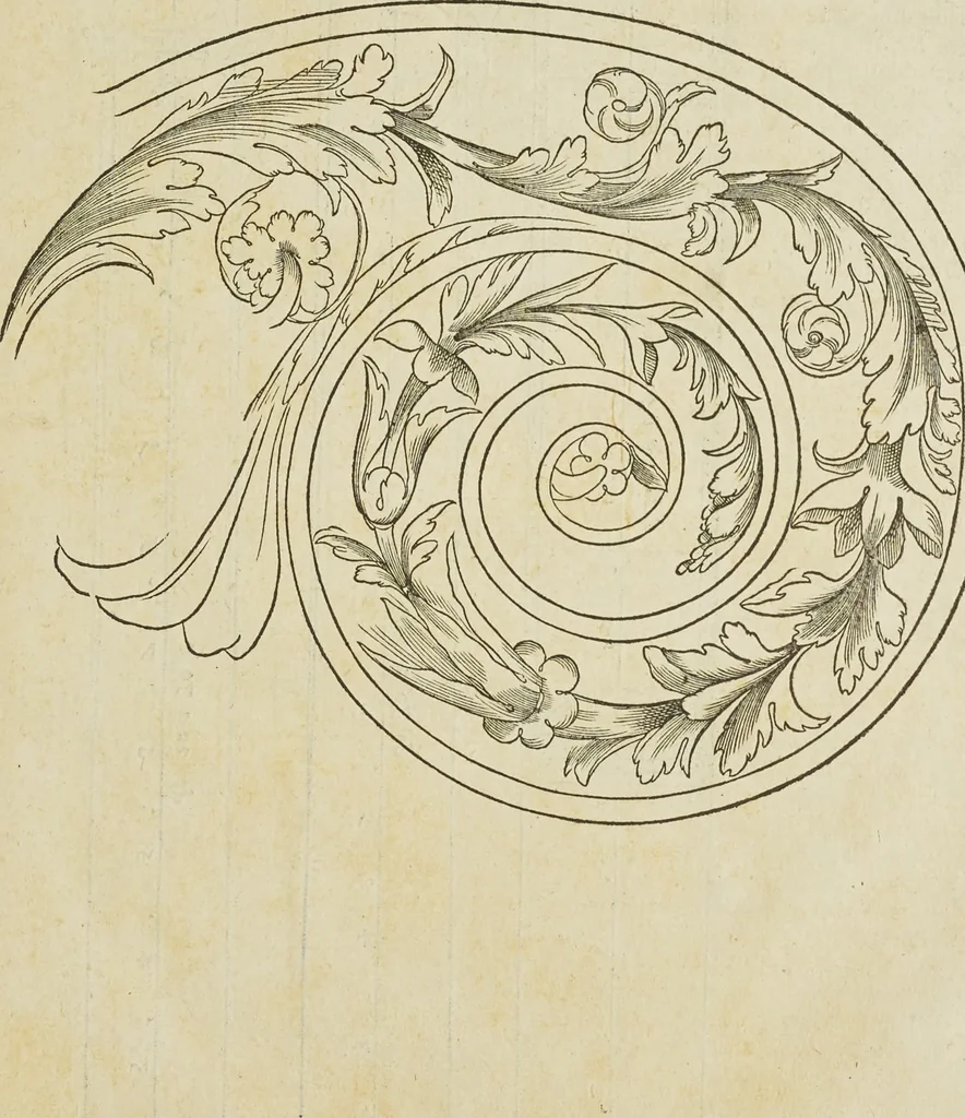 An illustration from Reigle generalle d'architectvre des cinq manieres de colonnes : à sçauoir, tuscane, dorique, ionique, corinthe, & cõposite : & enrichi de plusieurs autres, à exemple de l'antique, 1568, leaf 60
