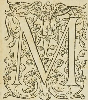 An illustration from Reigle generalle d'architectvre des cinq manieres de colonnes : à sçauoir, tuscane, dorique, ionique, corinthe, & cõposite : & enrichi de plusieurs autres, à exemple de l'antique, 1568, leaf 7